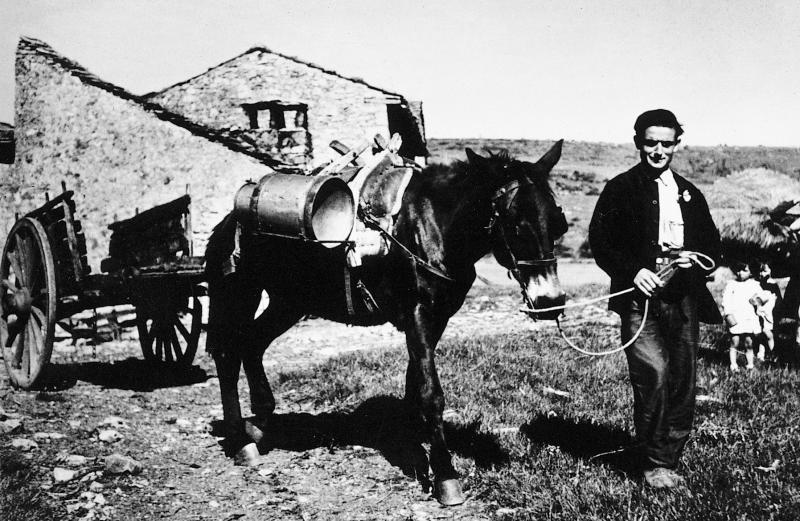  Char (carri) et homme conduisant un équidé chargé d'un bidon de lait devant une ferme (bòria), aux Fournials, 1934