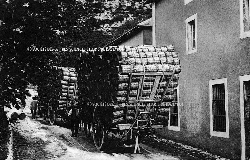  449 - Roquefort : Le transport des paniers à fromages.