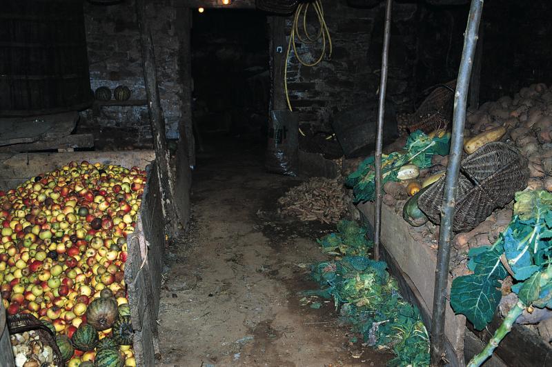 Fruits (fruchas) et légumes (legums, ortalissa, verdura) stockés dans une cave (cava), à La Claparède, décembre 1991