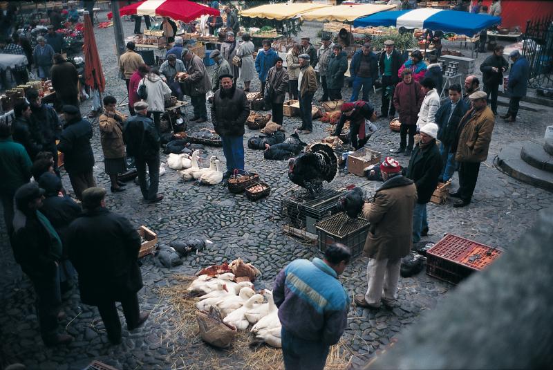 Vendeurs de volaille (polalha) et d'œufs (uòus) un jour de marché (mercat), place Notre-Dame, janvier 1994