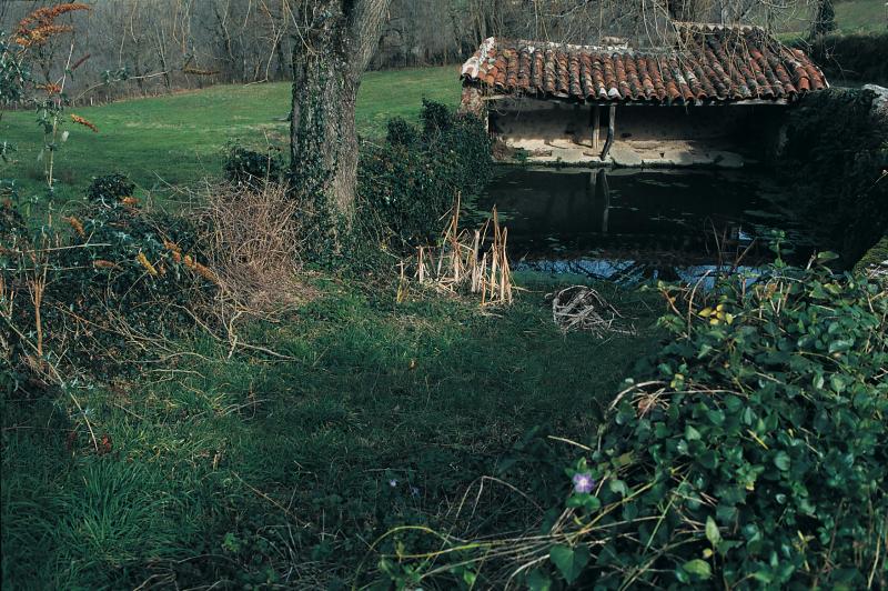  Mare (pesquièr) et lavoir (lavador) couvert, dans le Villafranchois (secteur de Villefranche de Rouergue), décembre 2002