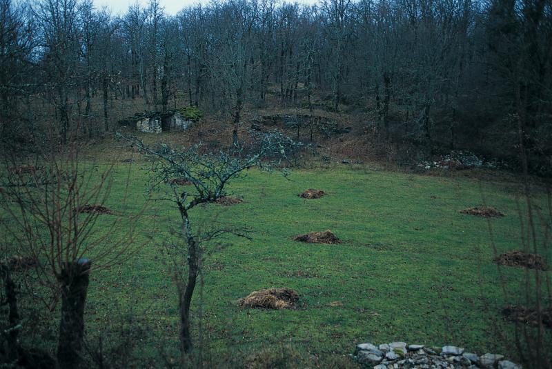  Tas de fumier (fomerons, molons) dans une prairie (prada, prat) et cabane (cabana) en pierre sèche, janvier 1995