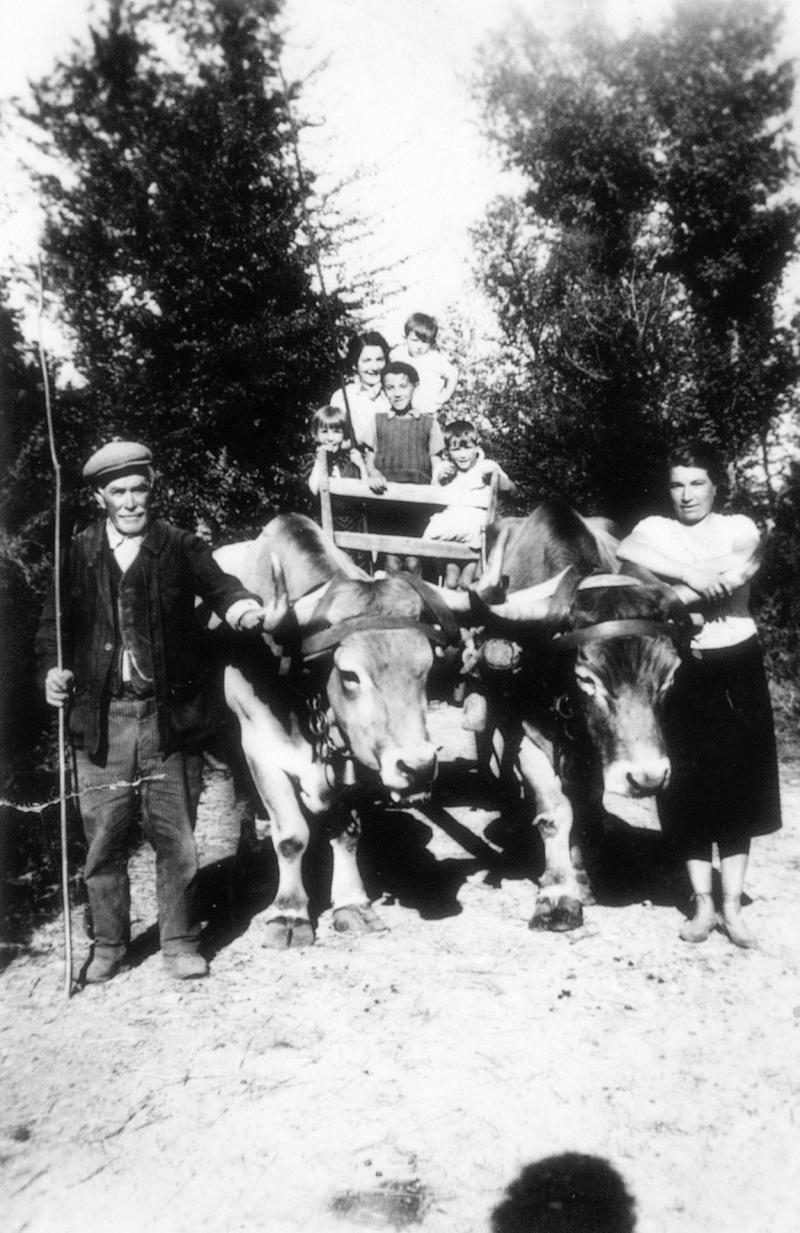  Personnes et paire de bovidés (parelh) attelée à un char (carri), à Mascourbes, 1940