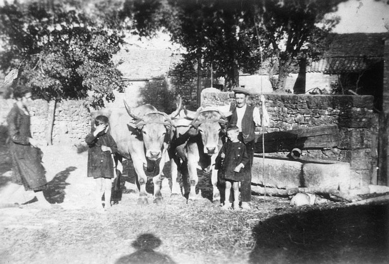 Personnes et paire de bovidés (parelh) devant un abreuvoir (abeurador) en pierre, à Saint-Pierre de Gourjas, 1941
