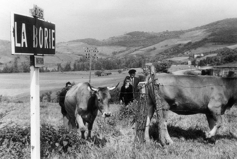 Panneau de signalisation et personnes avec deux bovidés, à La Borie, 1962