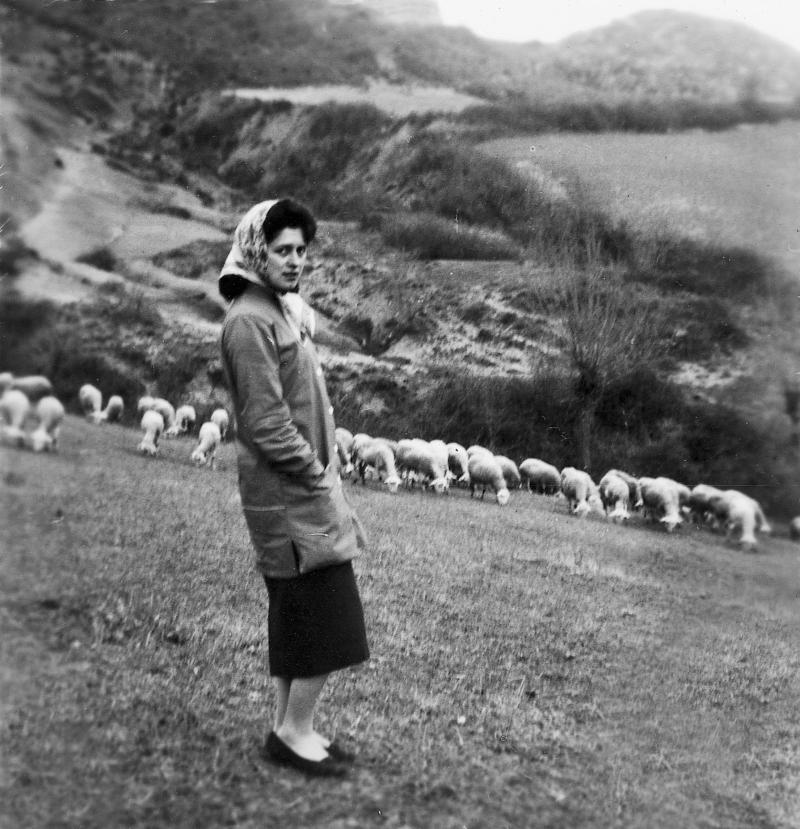 Jeune femme gardant un troupeau (tropèl) d'ovidés, à Rayssac, 1953