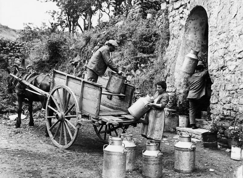 Equidé attelé à une charrette (carreta) et personnes déchargeant des bidons de lait dans une laiterie (lachariá, lachariè), à Tendigues, 1936
