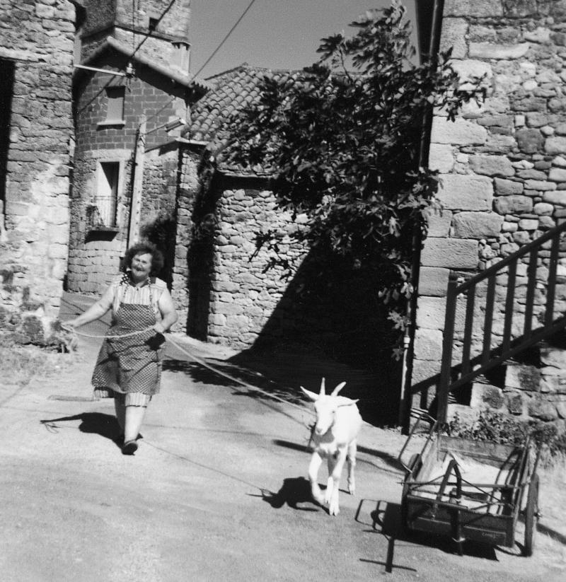 Femmes conduisant avec un corde (còrda) une chèvre (cabra) dans une rue (carrièira), à Lapeyre, 1980