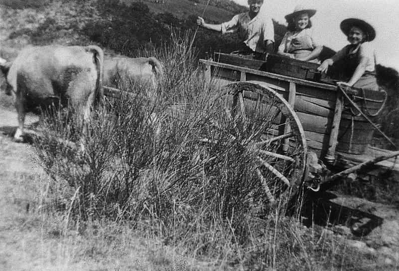 ​Charroi (carreg) de personnes et de comportes (semals) avec une paire de bovidés (parelh) attelée à un char (carri), à Camaras, 1948