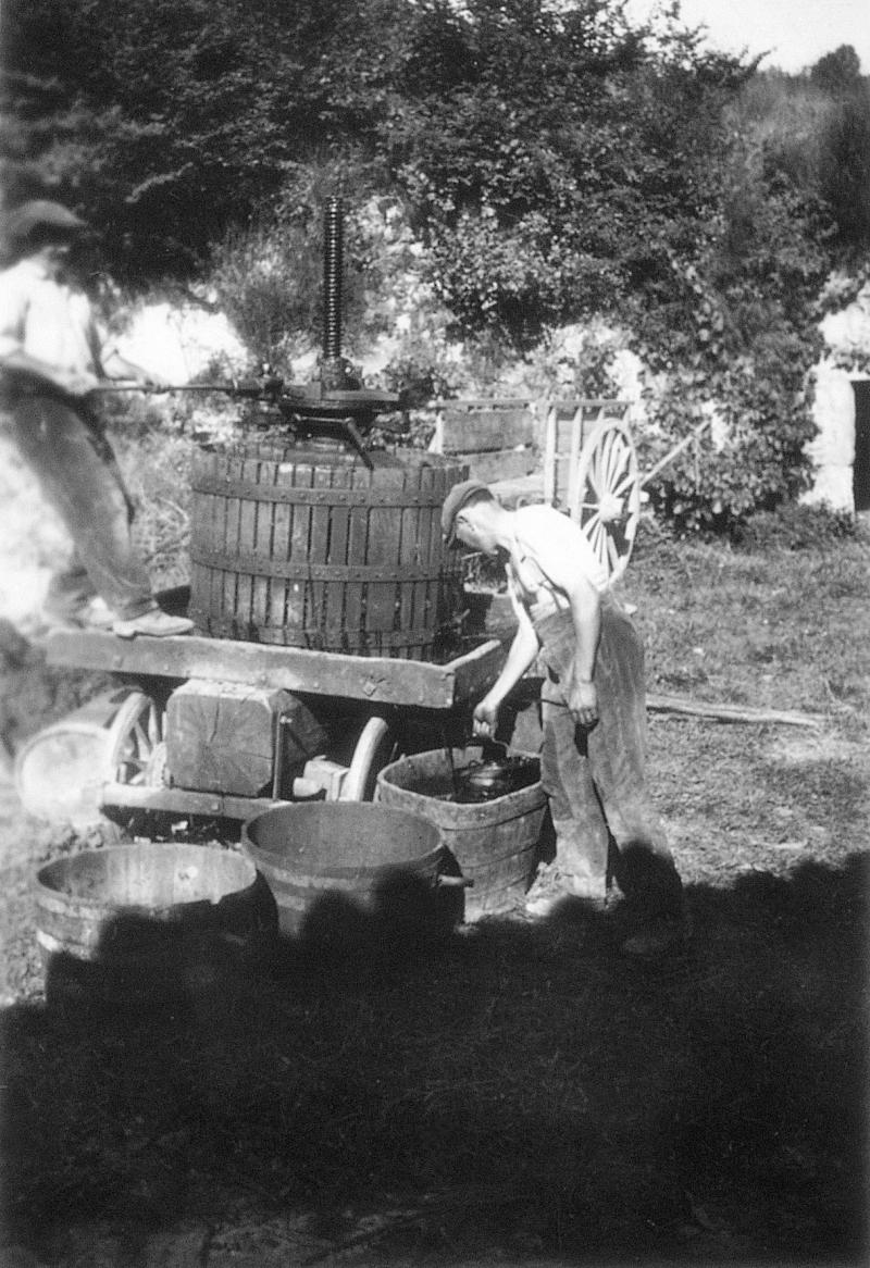 Hommes pressant la vendange (vendémia, vendenha) avec un pressoir (truèlh, truòlh) à vis, au Moulinou