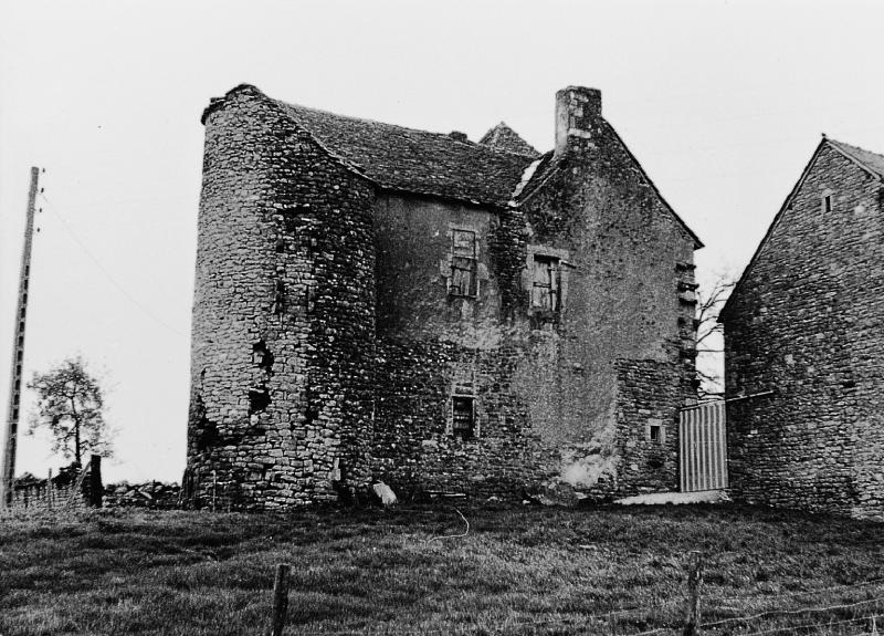 Restes du château (castèl), à Saint-Georges