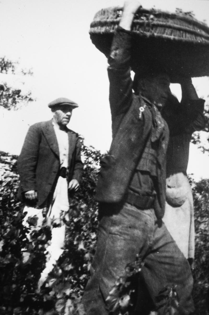  Femme chargeant sur la tête d'un homme une corbeille (desca) de raisins (rasims), à La Draye, 22 septembre 1944
