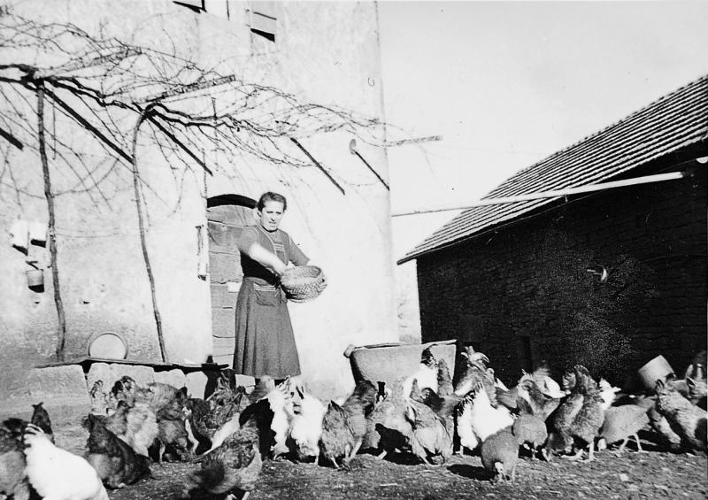  Femme donnant à manger à de la volaille (polalha), à Vialatelle, 1954