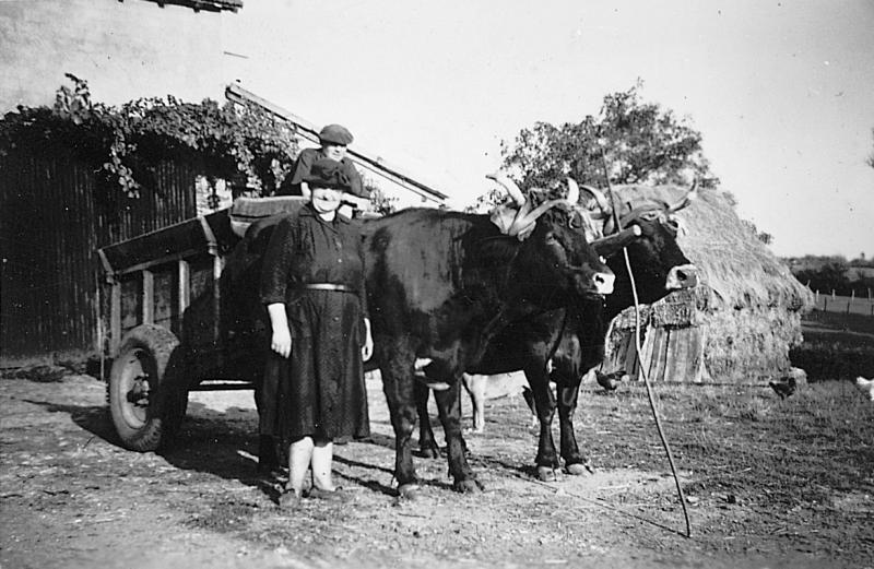Homme sur un tombereau (tombarèl) et femme devant une paire de bovidés (parelh), meule de paille (palhièr) rectangulaire, en Peyralès (secteur de La Salvetat Peyralès)