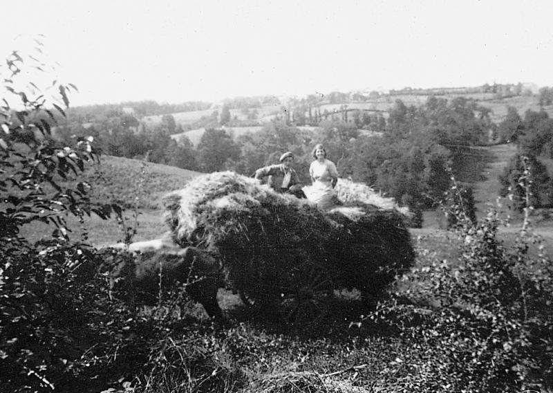 Paire de bovidés (parelh), jeune homme et jeune fille sur un chargement (cargament) de foin (fen) sur un char (carri), en Peyralès (secteur de La Salvetat Peyralès), 17 août 1941