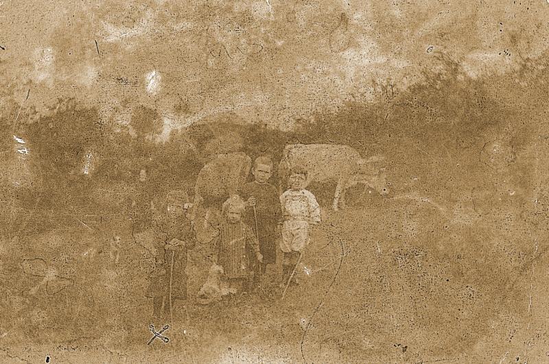 Enfants (dròlles, enfants) gardant des bovidés (vacada), à Lespinassole