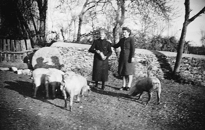 Deux femmes donnant à manger (apasturar) à des cochons (pòrcs, tessons), 1943