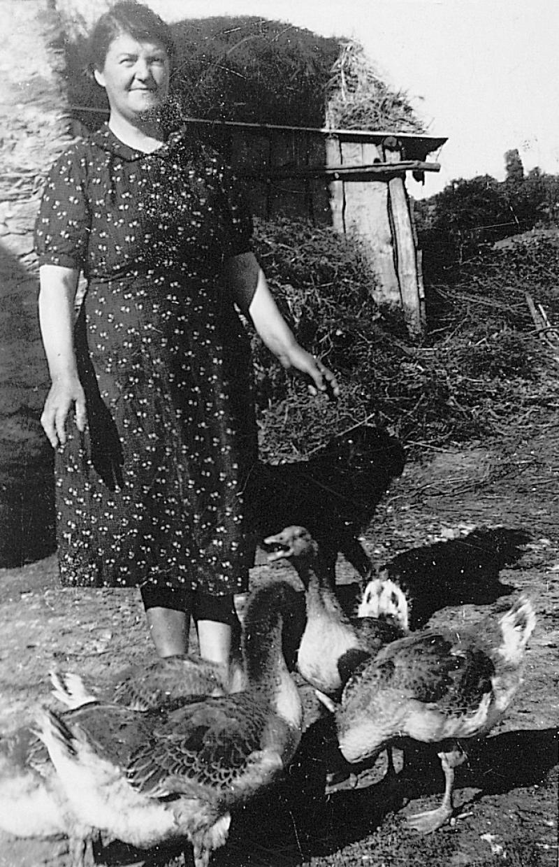 Femme, chien (can) et oies (aucas) devant un appentis (alapens) en bois recouvert de fagots (fagòts), 1950