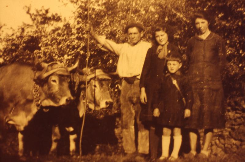 Paire de bovidés (parelh), couple et deux enfants, à La Borie Basse, février 1944