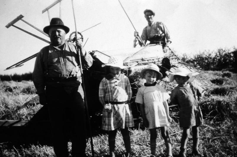 Temps de pause durant moisson (meisson, sèga) devant moissonneuse lieuse (ligaira, liusa) avec rabatteurs, à Bonnefon, 1946