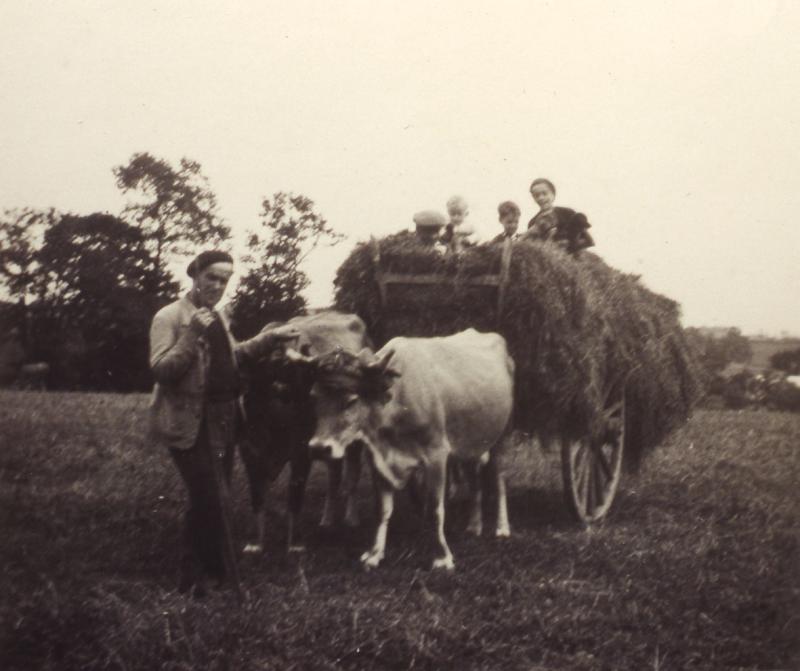 Temps de pause durant charroi (carreg) de foin (fen) avec char (carri) et paire de bovidés (parelh), dans le Naucellois (secteur de Naucelle)