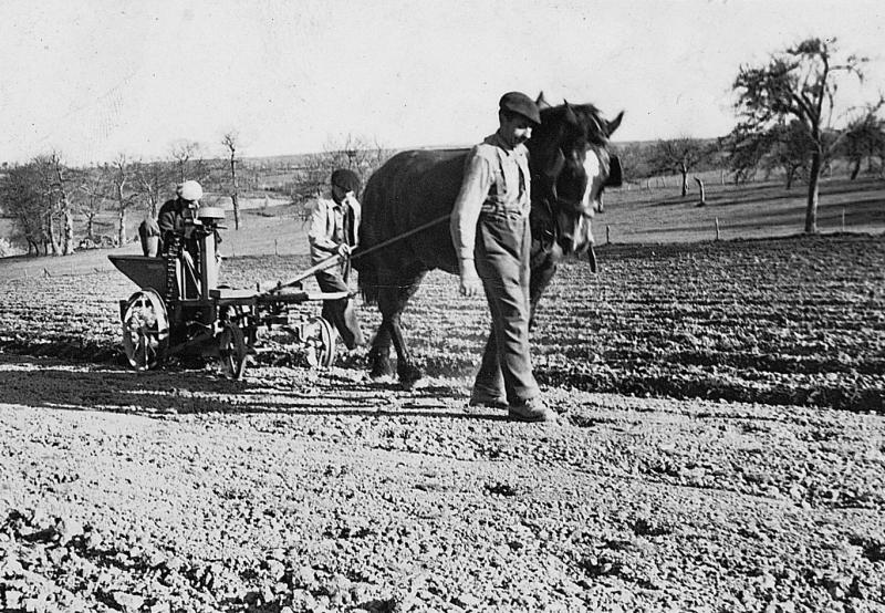 Trois hommes plantant des pommes de terre (patanons, trufas, trufes, trufets) avec une planteuse tirée par un équidé, à La Roque dans le Naucellois (secteur de Naucelle), 1948