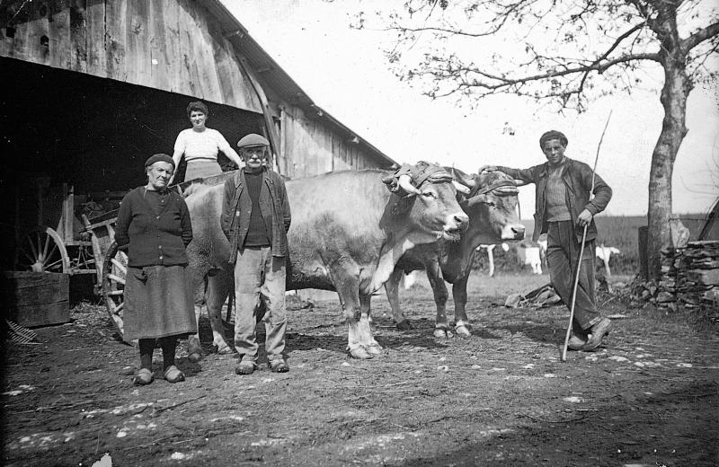 Famille et paire de bovidés (parelh) attelée à un tombereau (tombarèl) devant un hangar en bois (cabanat), dans le Naucellois (secteur de Naucelle)