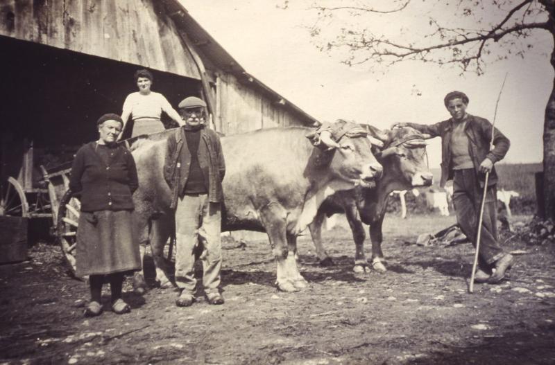 Famille et paire de bovidés (parelh) attelée à un tombereau (tombarèl) devant un hangar en bois (cabanat), dans le Naucellois (secteur de Naucelle)