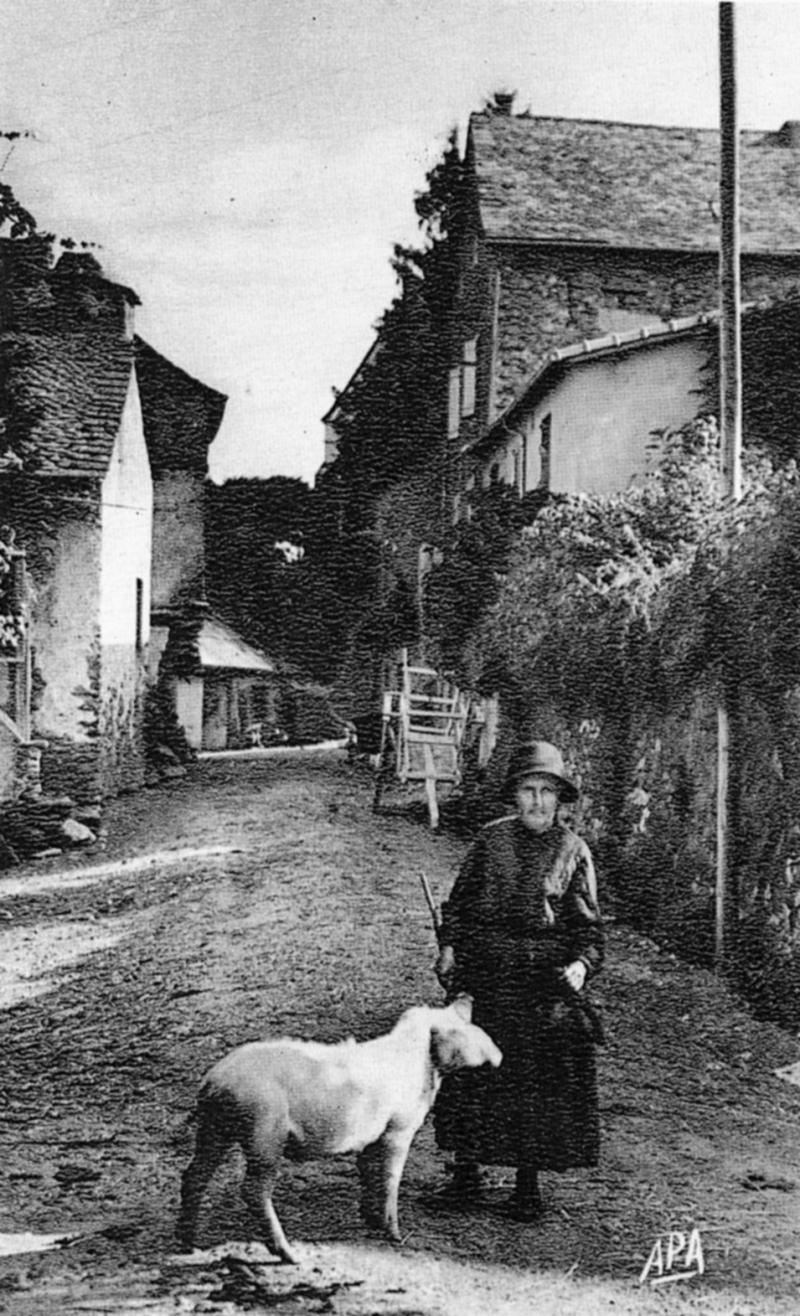 Femme promenant un cochon (pòrc, tesson) et char (carri) dans une rue (carrièira), dans le Naucellois (secteur de Naucelle), vers 1930