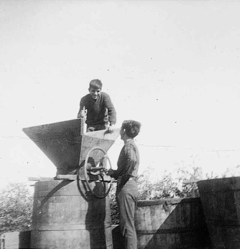 Deux garçons écrasant du raisin (rasim) avec un fouloir posé sur une cuve circulaire (cuba), au Mas Nau