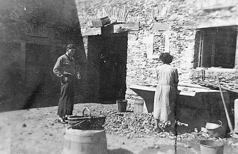 Tas (emmont) de topinambours (topins) et femme faisant la lessive (bugada) dans un lavoir (lavador) en ciment, à La Vialette de Frons