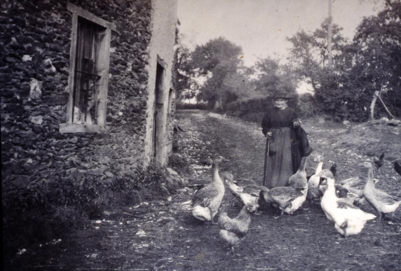 Femme donnant à manger (apasturar) à des poules (galinas, polas) et des oies (aucas) devant une maison (ostal)