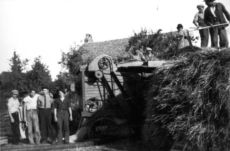 Temps de pause durant dépiquage (escodre) mécanisé à la batteuse (batusa), ensachage du grain (gran), à Fenassac, août 1943