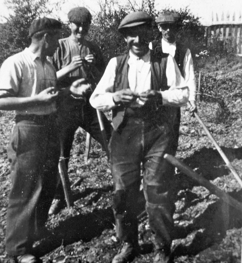 Hommes roulant une cigarette durant piochage (fòire) d'une vigne, dans le Naucellois (secteur de Naucelle)