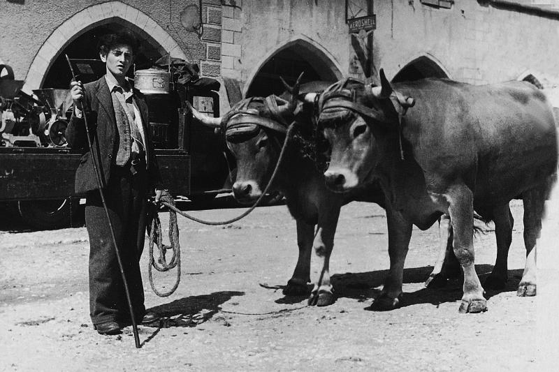 Matériel agricole exposé sur un camion et jeune homme avec aiguillon (agulhada) devant une paire de bovidés (parelh) sur la place aux arcades (gitats) pour la foire exposition, 10 septembre 1948