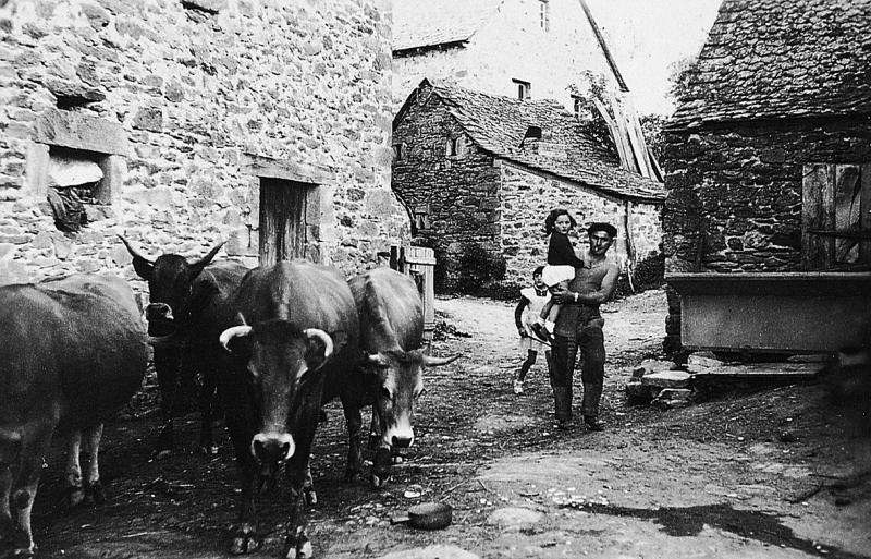Troupeau de bovidés (vacada), homme avec enfant dans les bras devant un fournil (fornial) et un lavoir (lavador) en ciment dans une cour de ferme (bòria), à Campan, 1953
