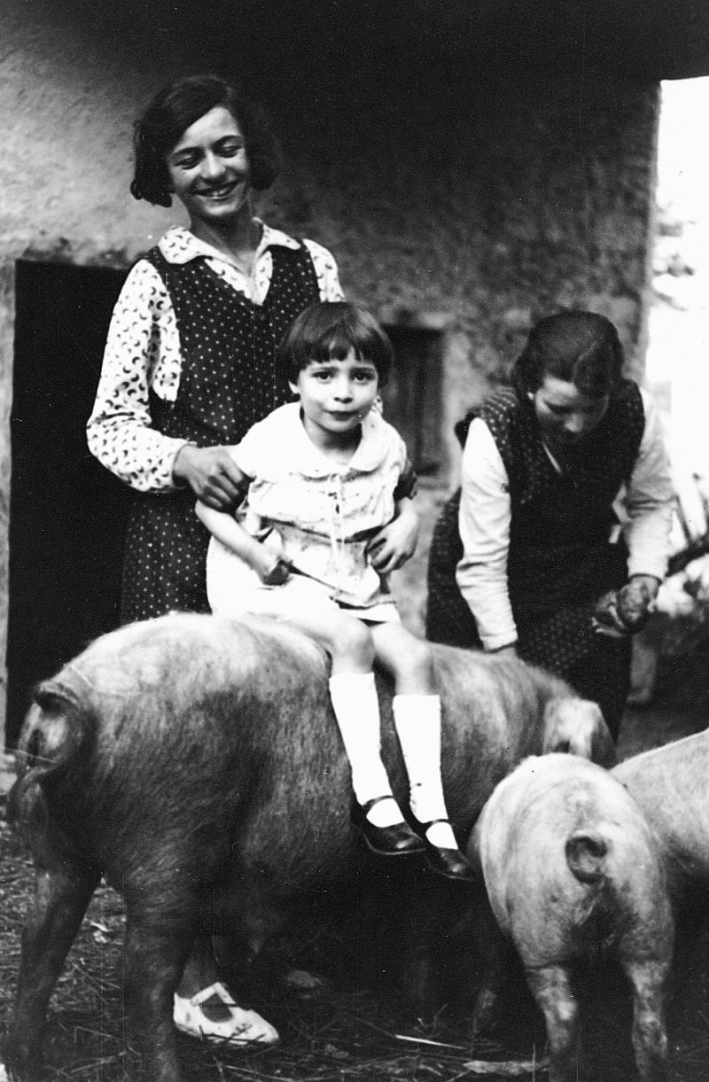 Femme, fillette juchée sur un cochon (pòrc, tesson) et autre femme donnant à manger à des porcelets (tessons), à La Vernhe, 1935