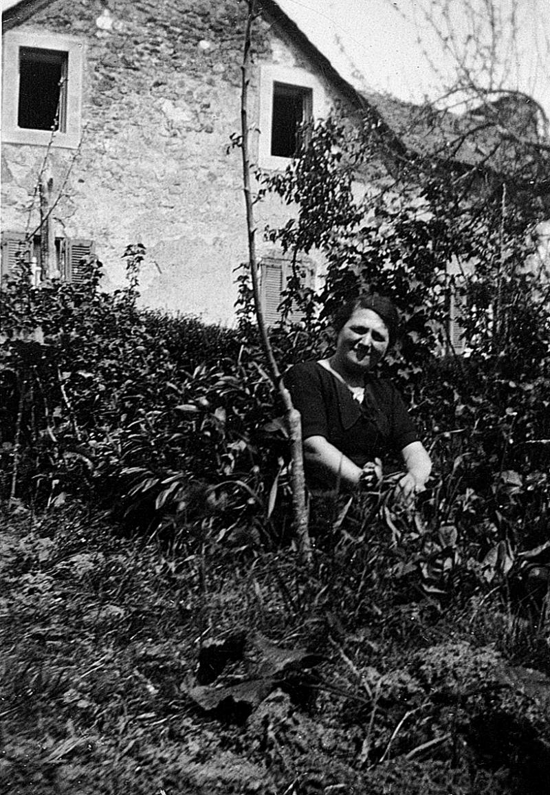 Femme accroupie récoltant de la verdure pour oisons (aucons) et canetons (ritons) dans un jardin (òrt), à Naves, 1930