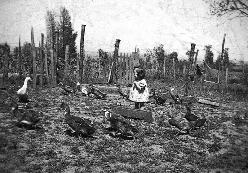 Fillette devant une auge (nauc) au milieu de canards (guits, rits), 1939