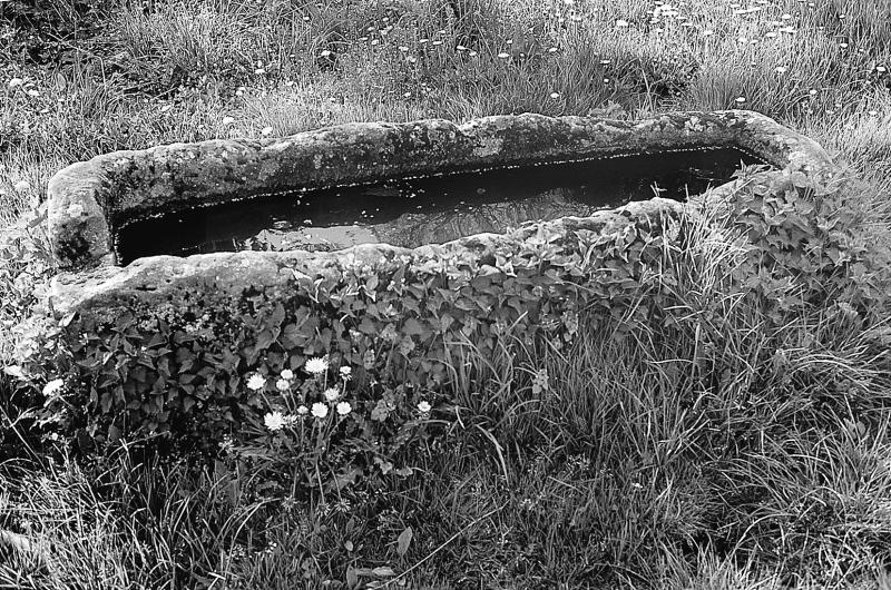 Sarcophage (ataüc, caissa de mòrt) rempli d'eau, à Montloubet, avril 1999