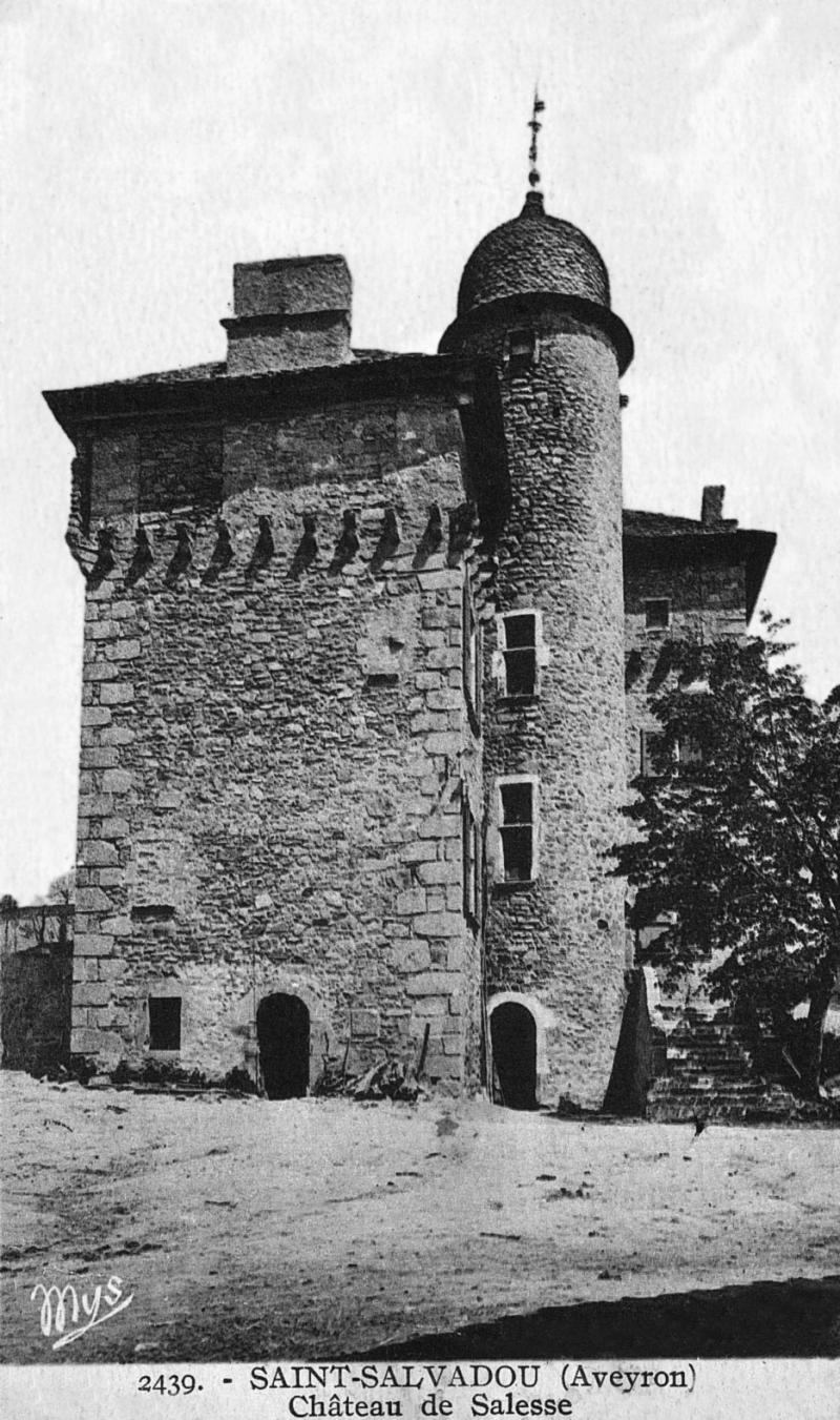 2439. - SAINT-SALVADOU (Aveyron) Château de Salesses