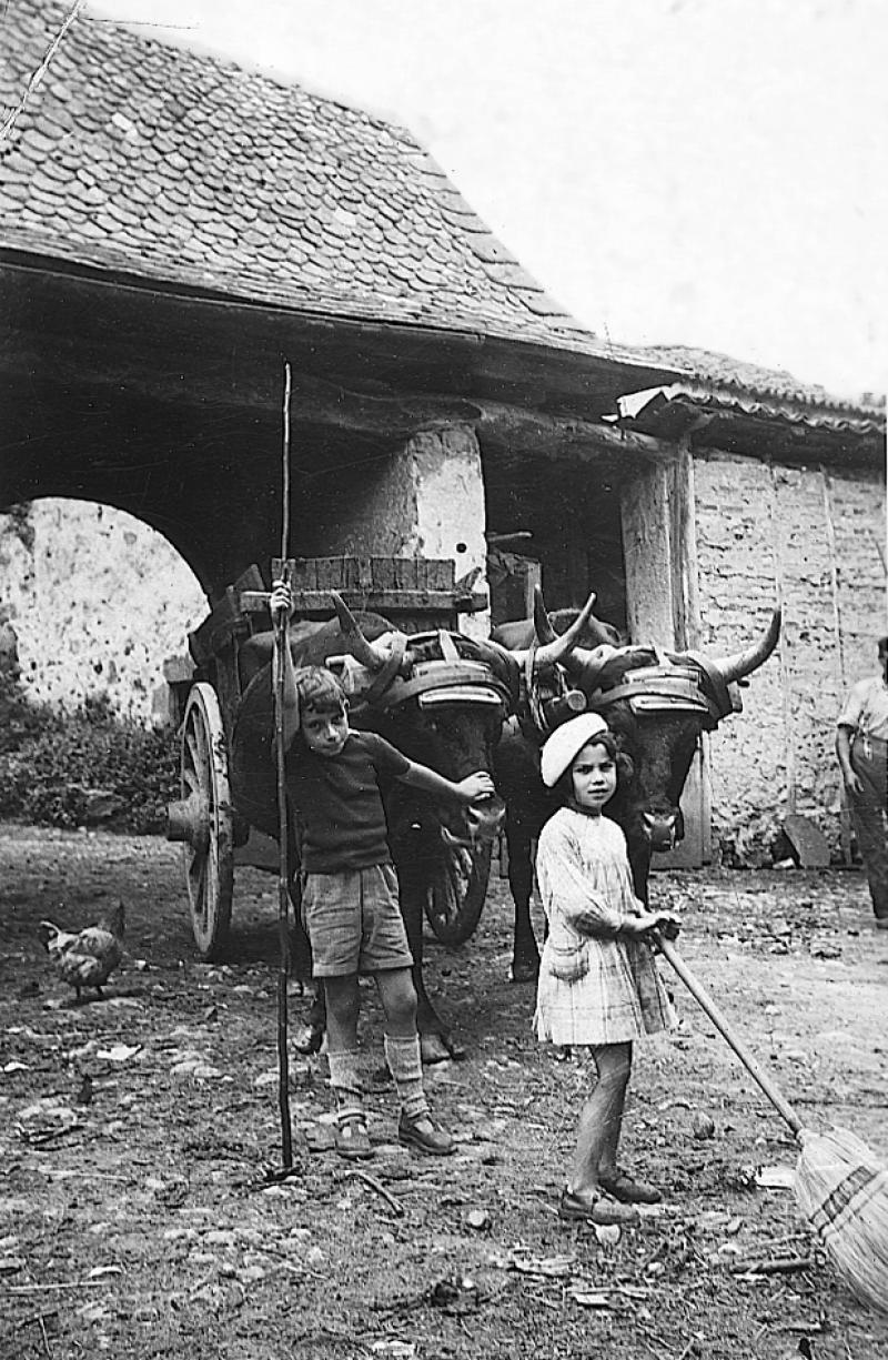 Jeunes enfants (dròlles, enfants) avec aiguillon ou balai (balag, balaja) devant une paire de bovidés (parelh) de race salers attelée à un tombereau (tombarèl) et un portail couvert, à La Vaysse, été 