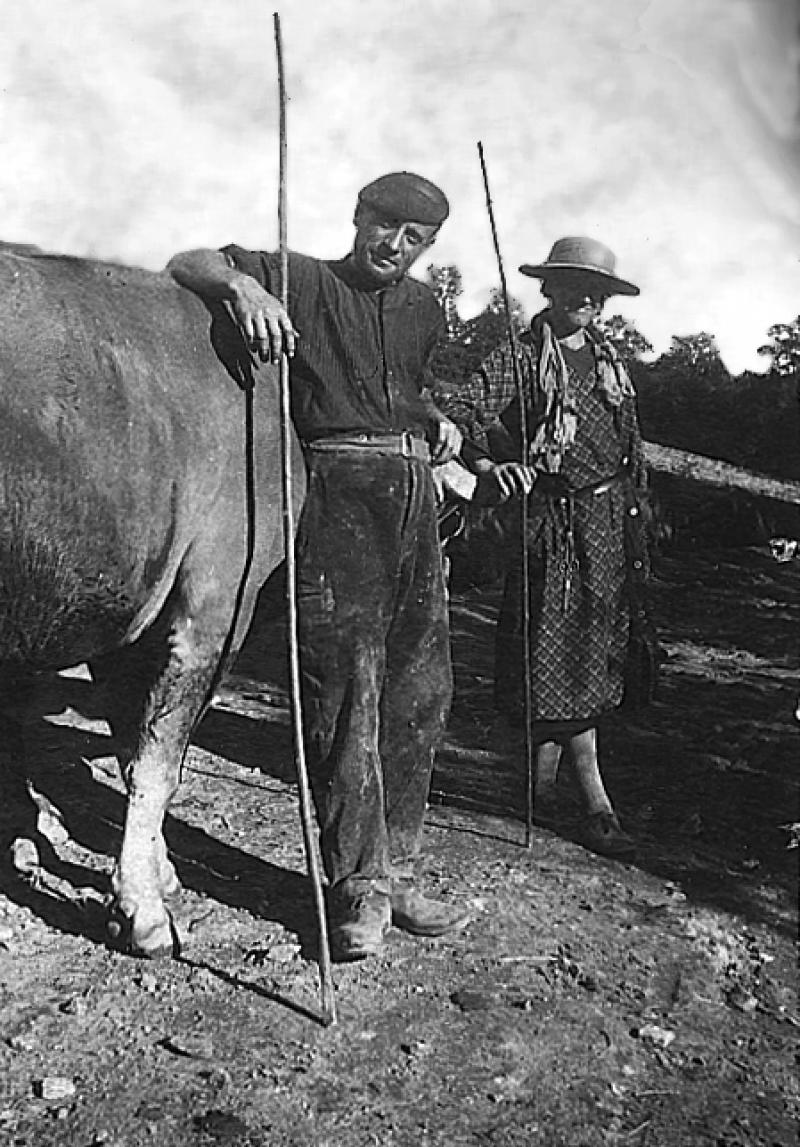 Couple (coble) avec aiguillons (agulhadas) à côté d'une paire de bovidés (parelh), à Lacoste de Tizac, vers 1941