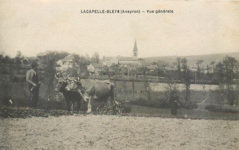 LACAPELLE-BLEYS (Aveyron) – Vue générale