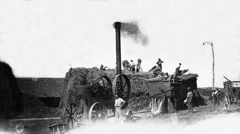 Dépiquage (escodre) mécanisé à la batteuse (batusa) actionnée par une locomobile (caufusa) et ensachage du grain, à Grillères, 1942
