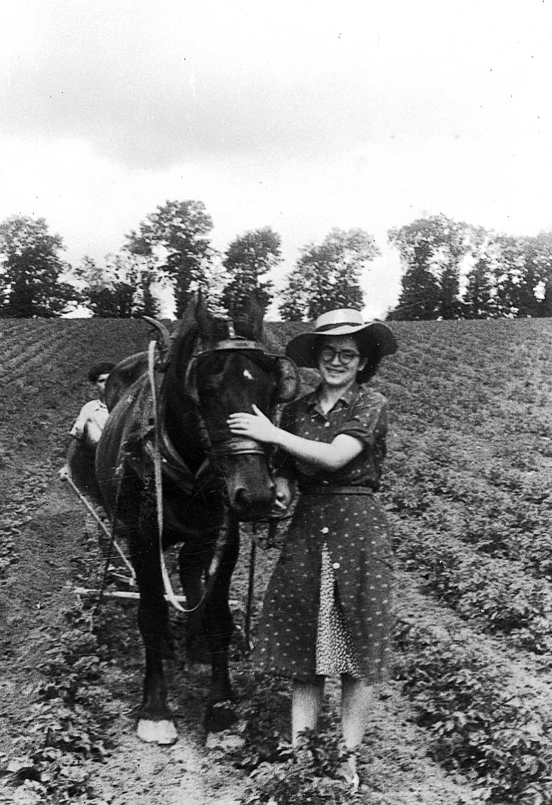Temps de pause durant buttage (tarrar) des pommes de terre (patanons, trufas, trufes, trufets) avec équidé, au Grifoulas, vers 1948