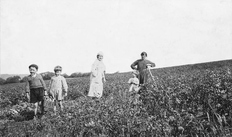 Temps de pause durant arrachage des pommes de terre (patanons, trufas, trufes, trufets) par trois garçons (dròlles, enfants) et deux femmes (femnas), à Cabanelles, 1934