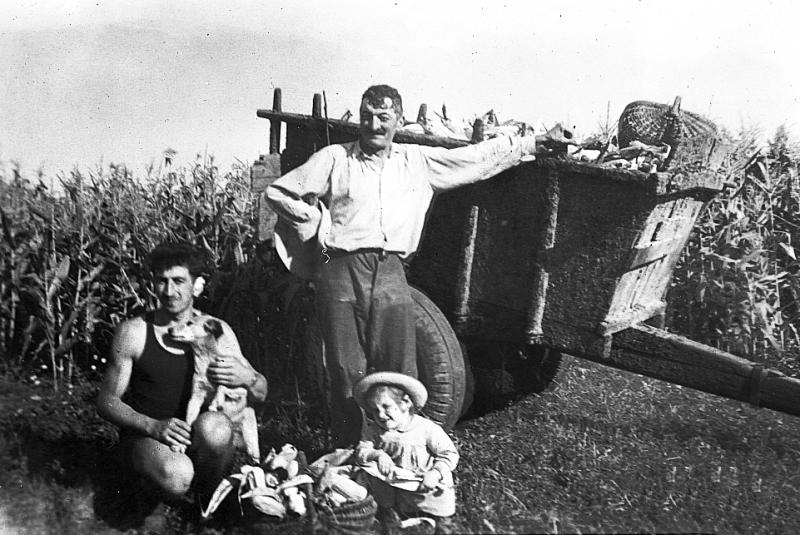 Temps de pause devant un tombereau (tombarèl) chargé de maïs (milh), à La Bessière, 1958