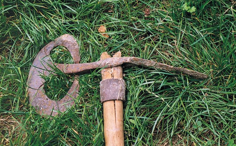 Taille-pré (talhaprat) servant à creuser les rigoles d'irrigation (besalas) dans une prairie (prada, prat), en Ségala (secteur de Rieupeyroux), octobre 1998