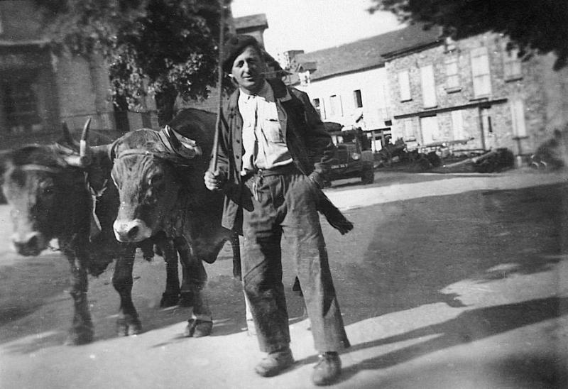 Homme avec paire de bovidés (parelh) sur une place, 1946